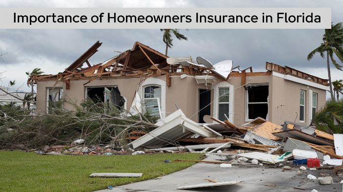 Best And Worst Homeowners Insurance Companies In Florida